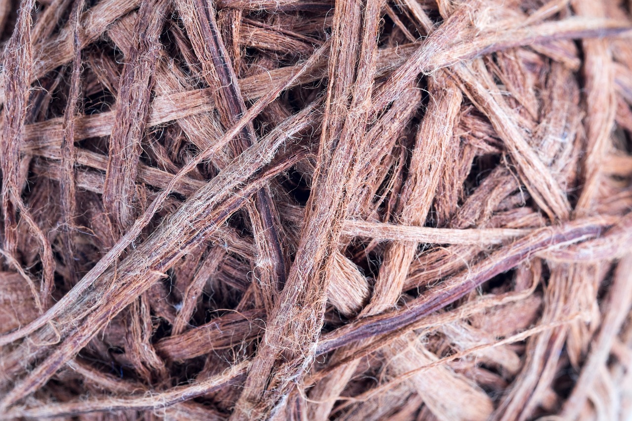Choosing the Right Threading for Your Quilting Project
